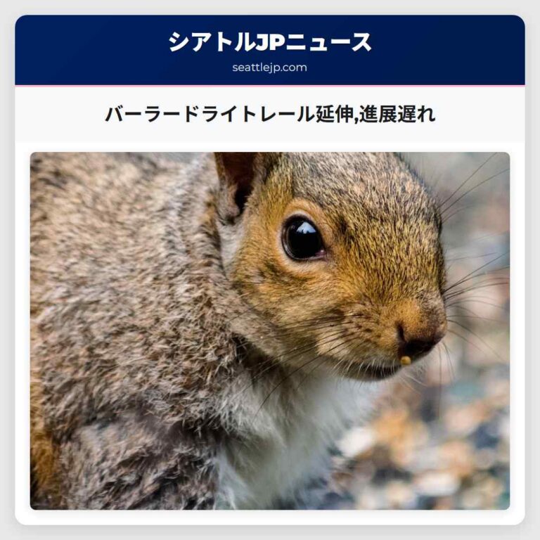 バーラードライトレール延伸進展遅れ