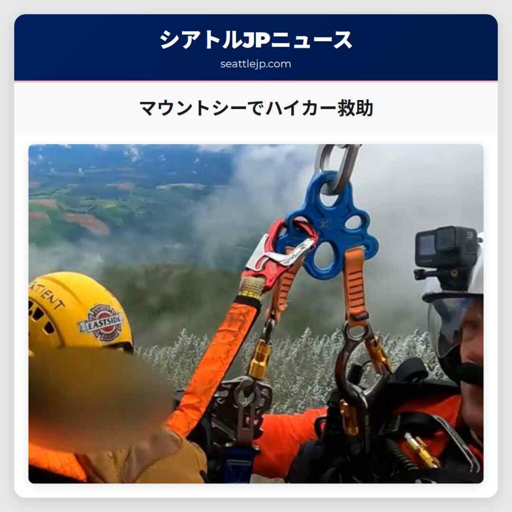 マウントシーでハイカー救助