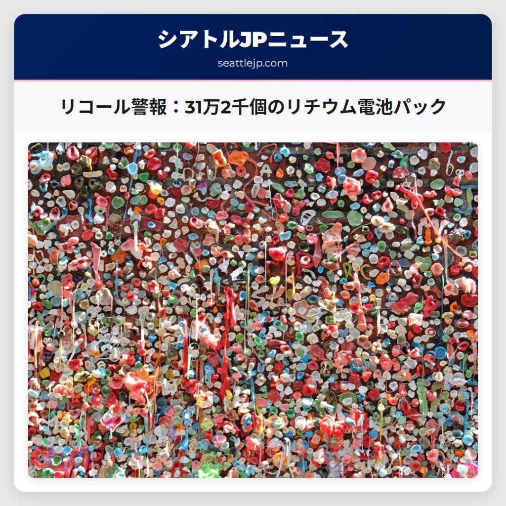 リコール警報：31万2千個のリチウム電池パック