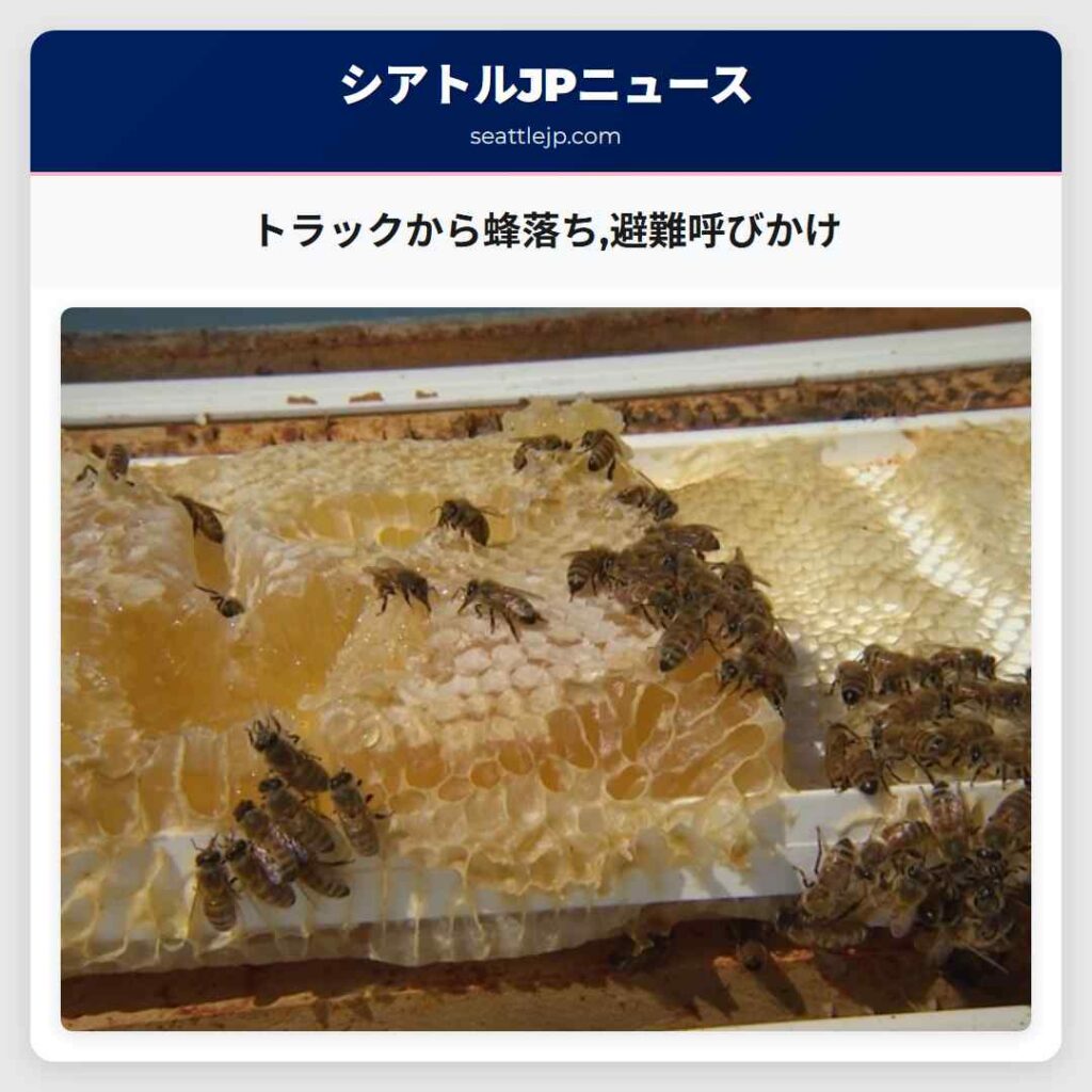 シアトルニュース 3 トラックから蜂落ち,避難呼びかけ
