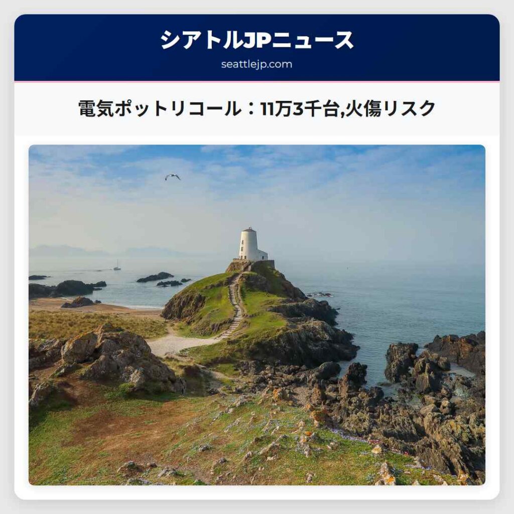 電気ポットリコール：11万3千台,火傷リスク