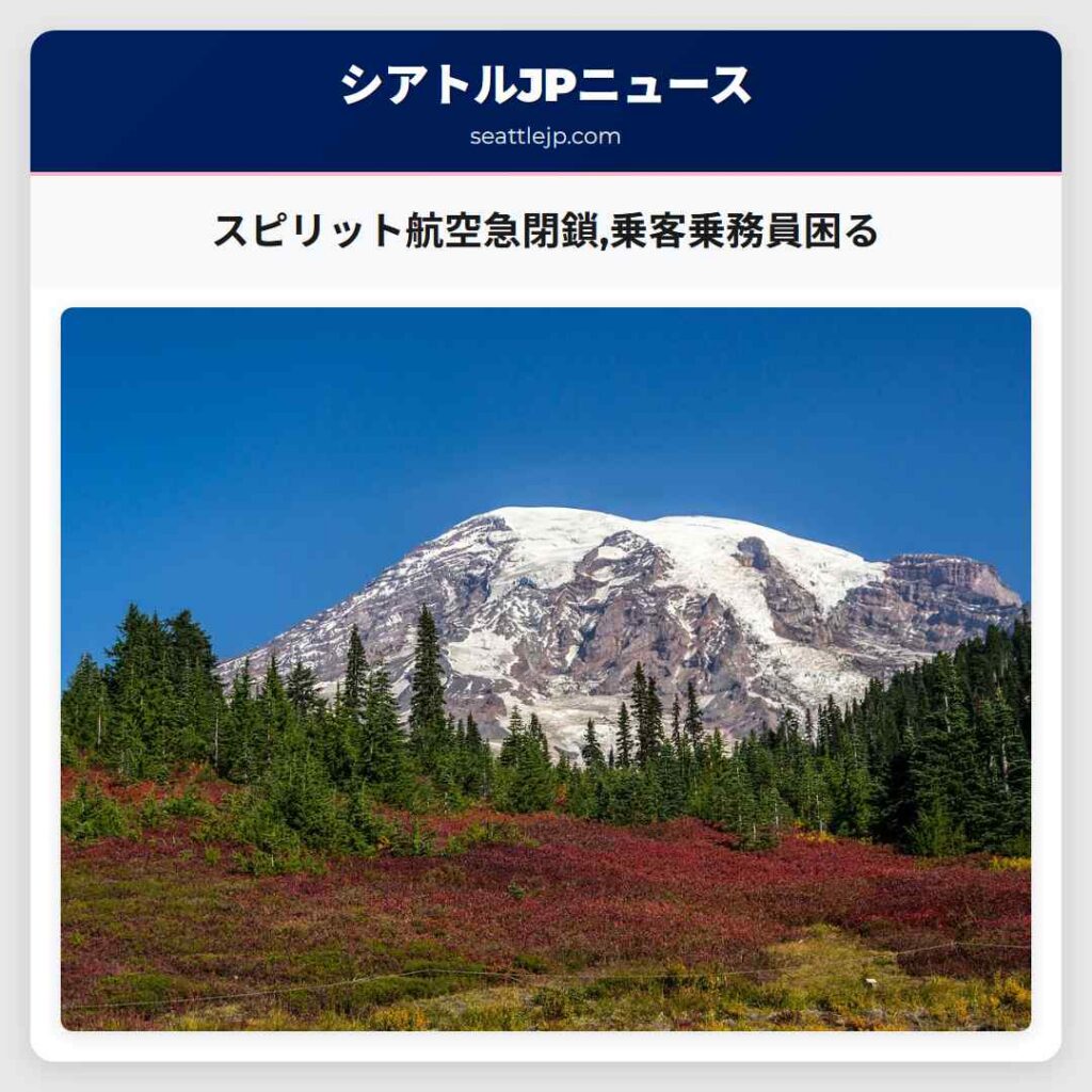 スピリット航空急閉鎖,乗客乗務員困る