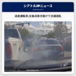 逃走運転手交差点突き抜けて交通混乱