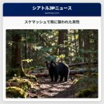 スケマッシュで熊に襲われた男性