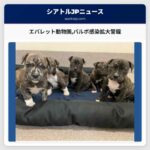 エバレット動物園パルボ感染拡大警鐘
