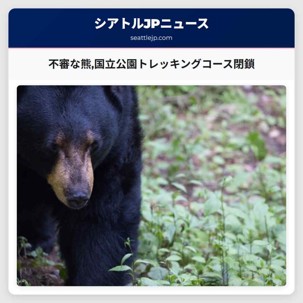不審な熊,国立公園トレッキングコース閉鎖