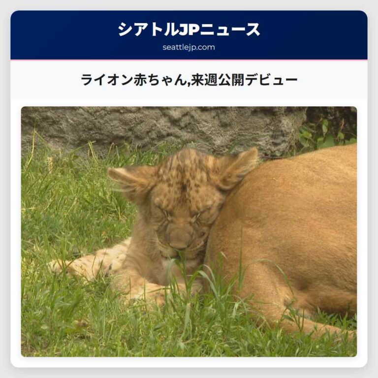 ライオン赤ちゃん来週公開デビュー