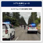 スパナウェイで歩行者死亡事故