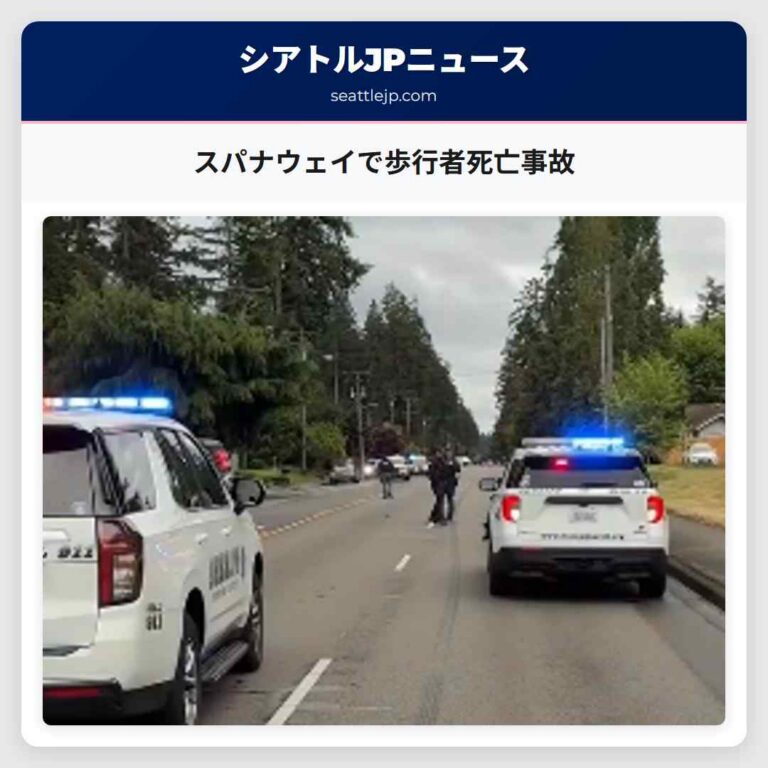 スパナウェイで歩行者死亡事故