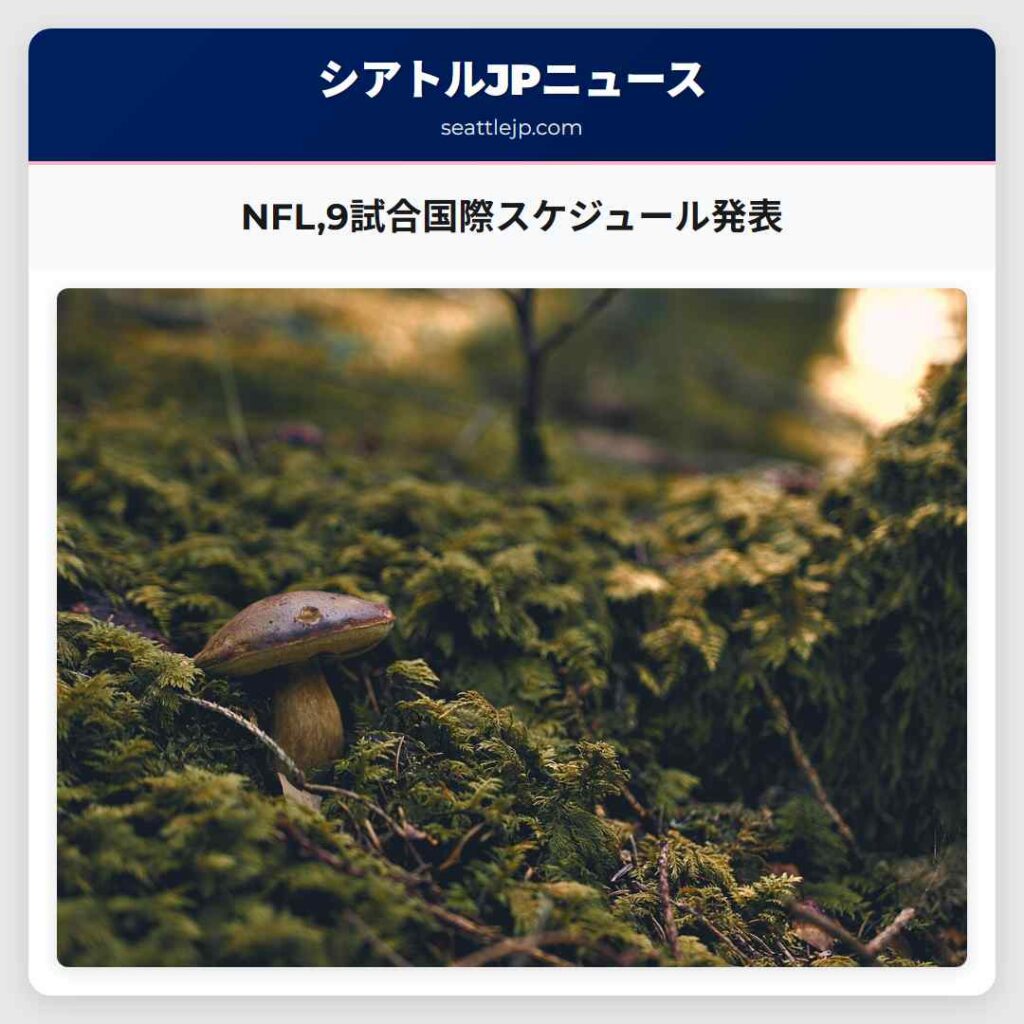 NFL,9試合国際スケジュール発表