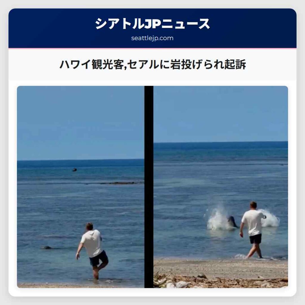 ハワイ観光客,セアルに岩投げられ起訴