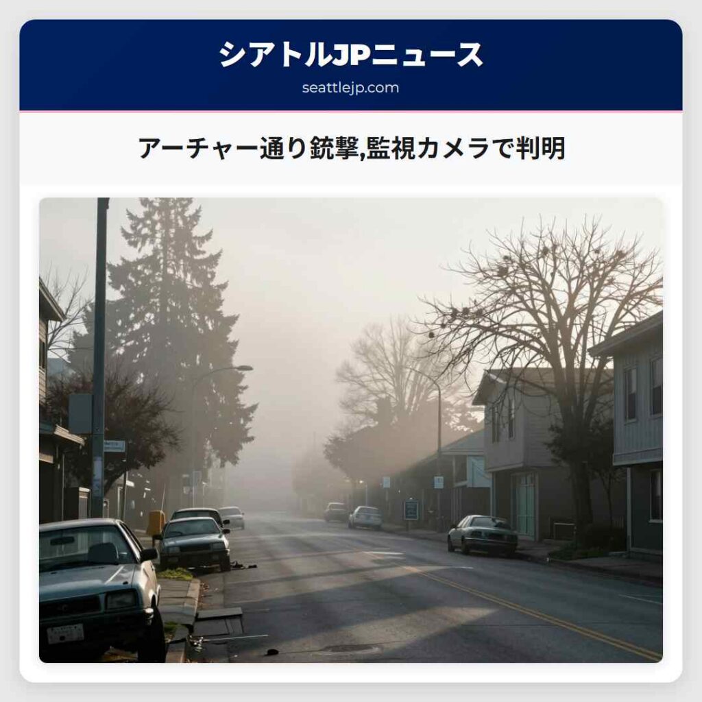 アーチャー通り銃撃,監視カメラで判明