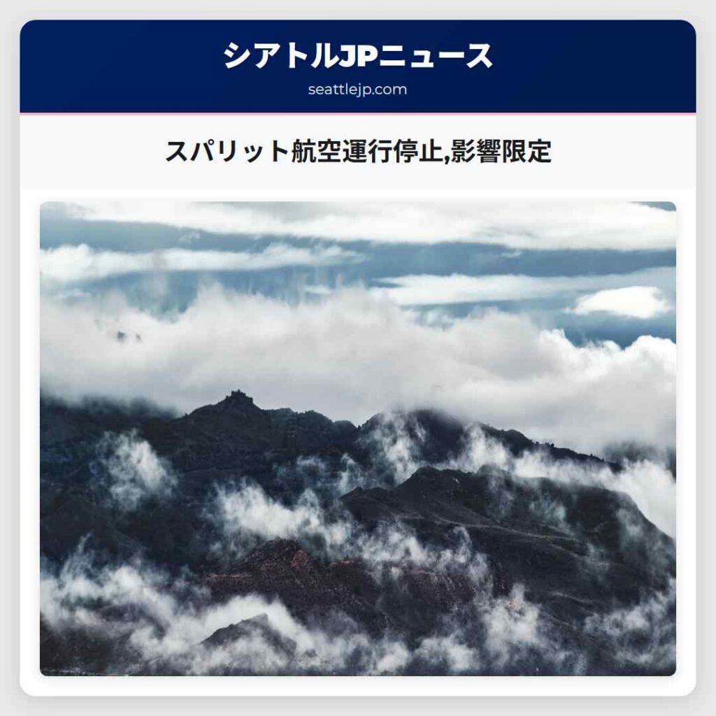 スパリット航空運行停止,影響限定