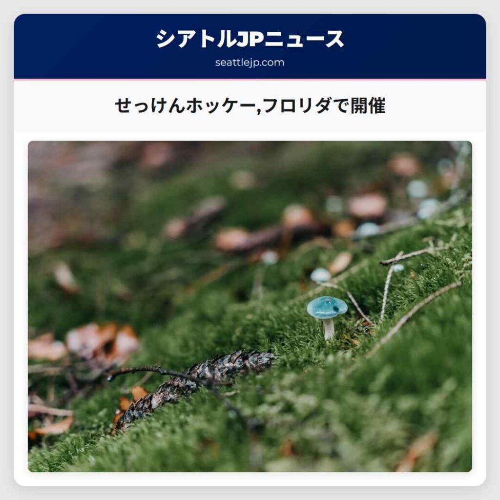 せっけんホッケー,フロリダで開催