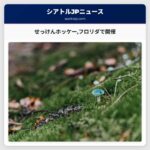 せっけんホッケーフロリダで開催