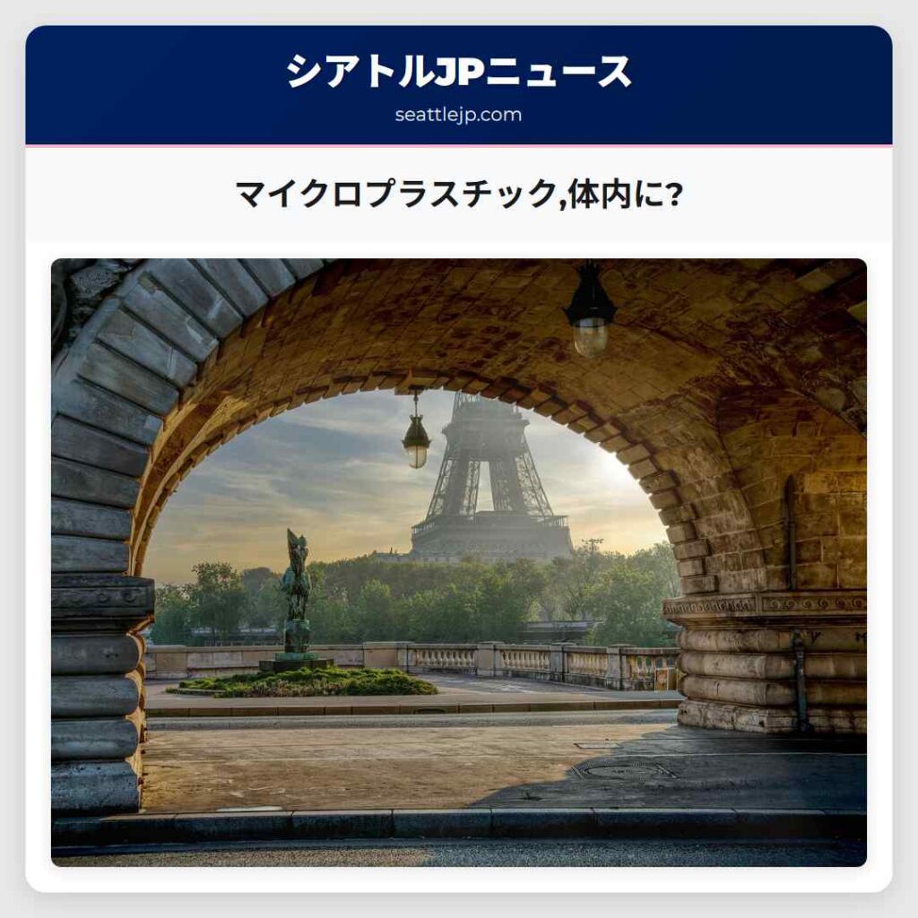 マイクロプラスチック,体内に?