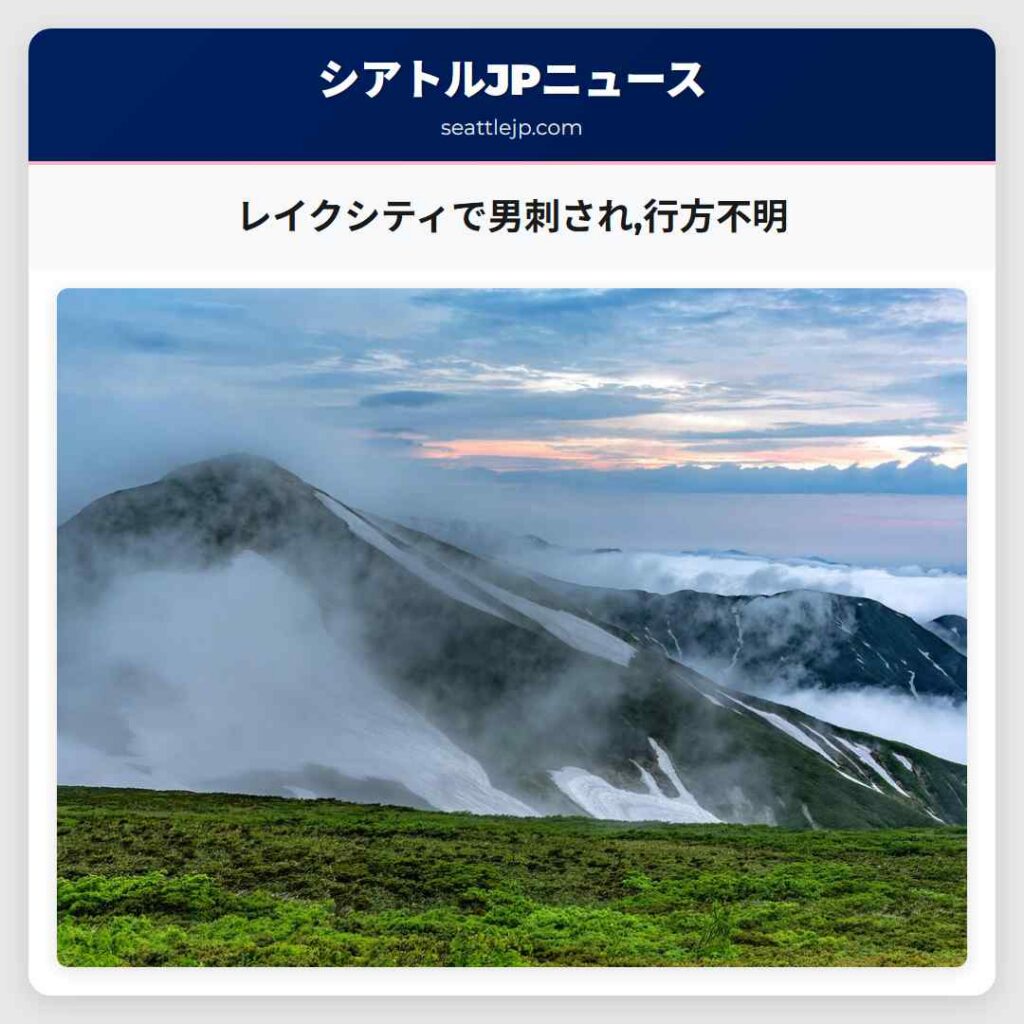 レイクシティで男刺され,行方不明