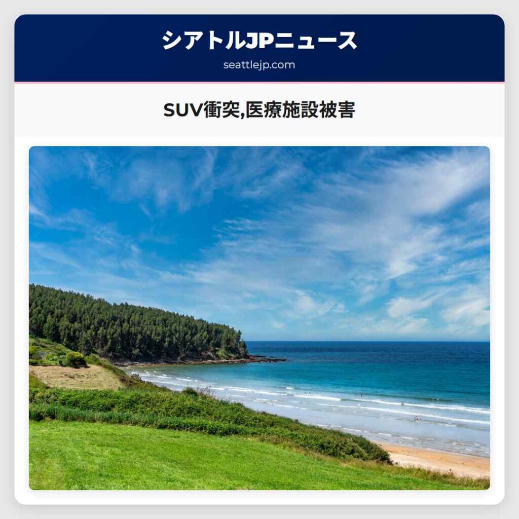 SUV衝突,医療施設被害