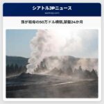 孫が祖母の50万ドル横領禁錮24か月