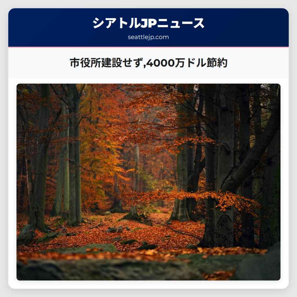市役所建設せず,4000万ドル節約