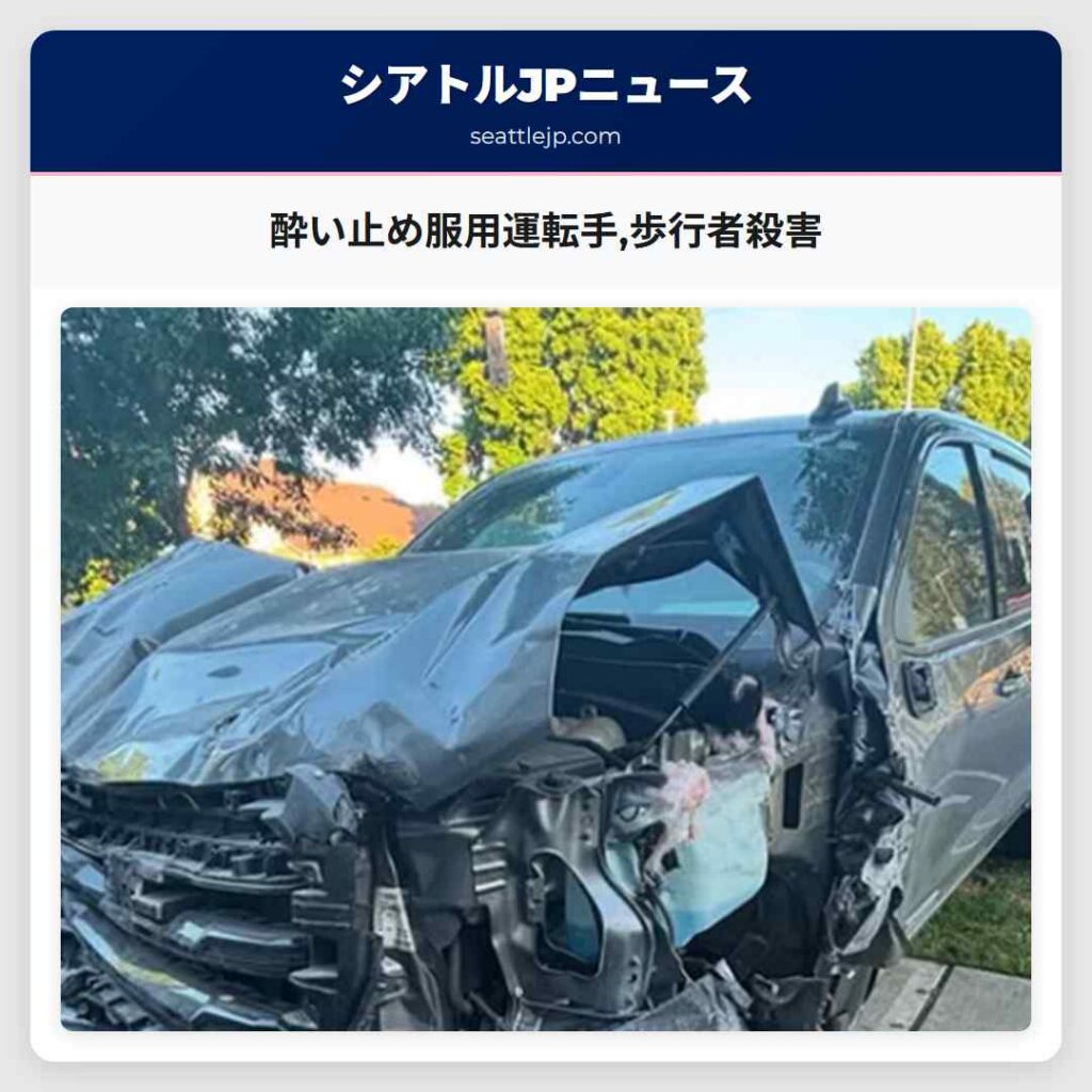 酔い止め服用運転手,歩行者殺害