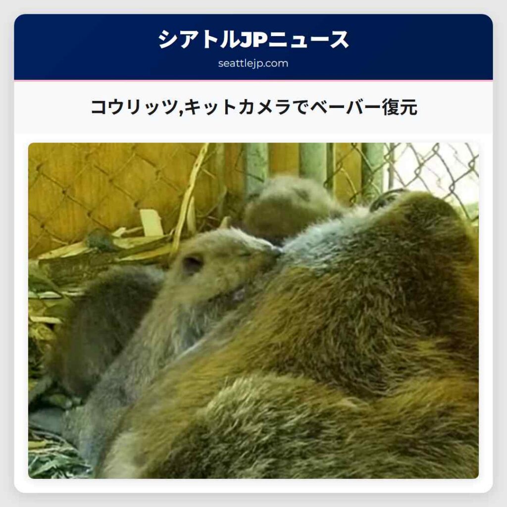 コウリッツ,キットカメラでベーバー復元