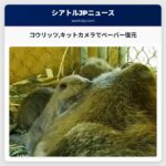 コウリッツキットカメラでベーバー復元