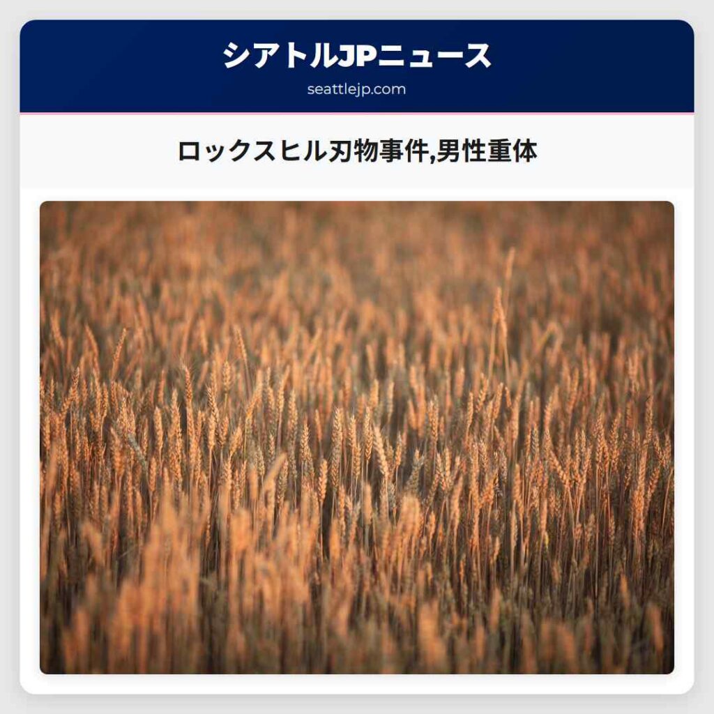 ロックスヒル刃物事件,男性重体