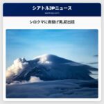 シロクマに岩投げ男初出廷