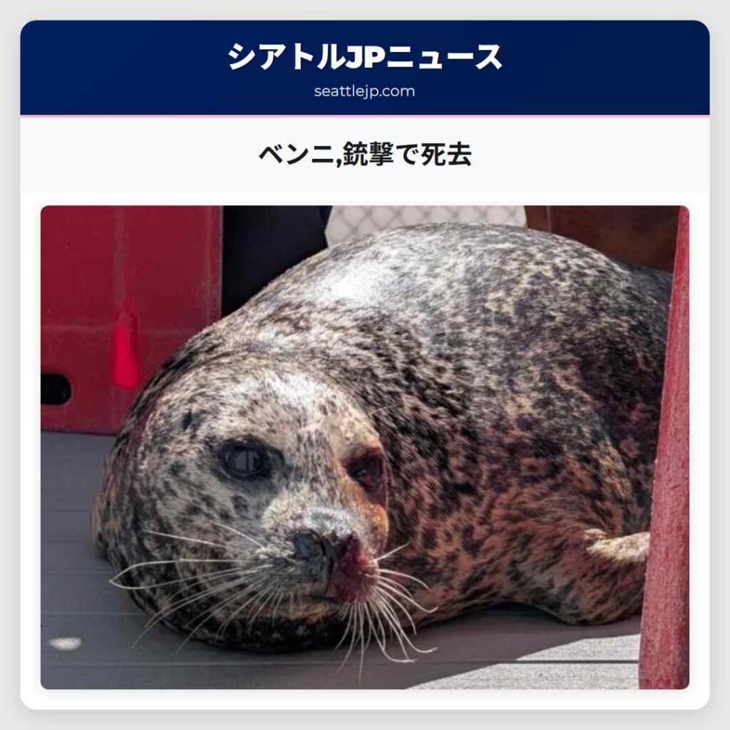 ベンニ,銃撃で死去