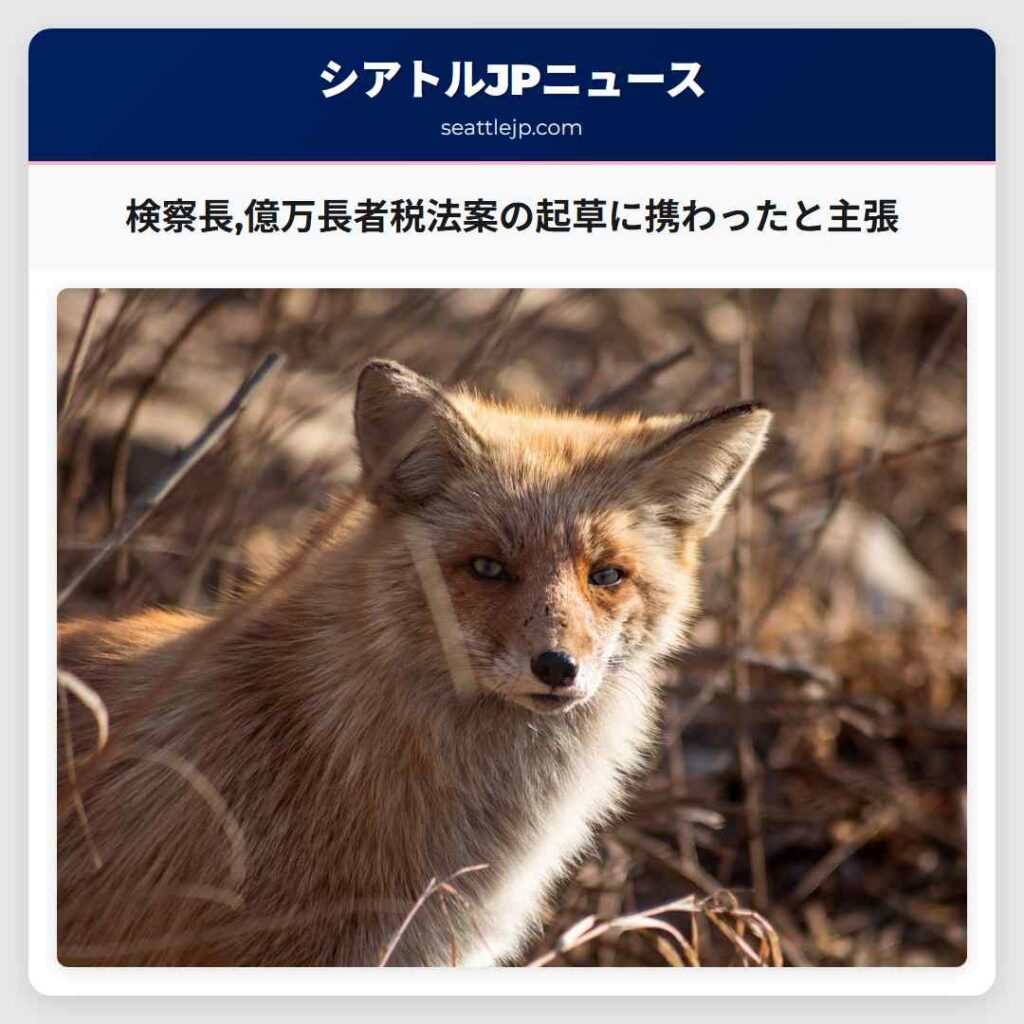検察長,億万長者税法案の起草に携わったと主張