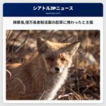 検察長億万長者税法案の起草に携わったと主張