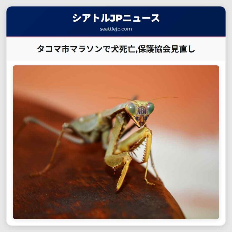 タコマ市マラソンで犬死亡保護協会見直し