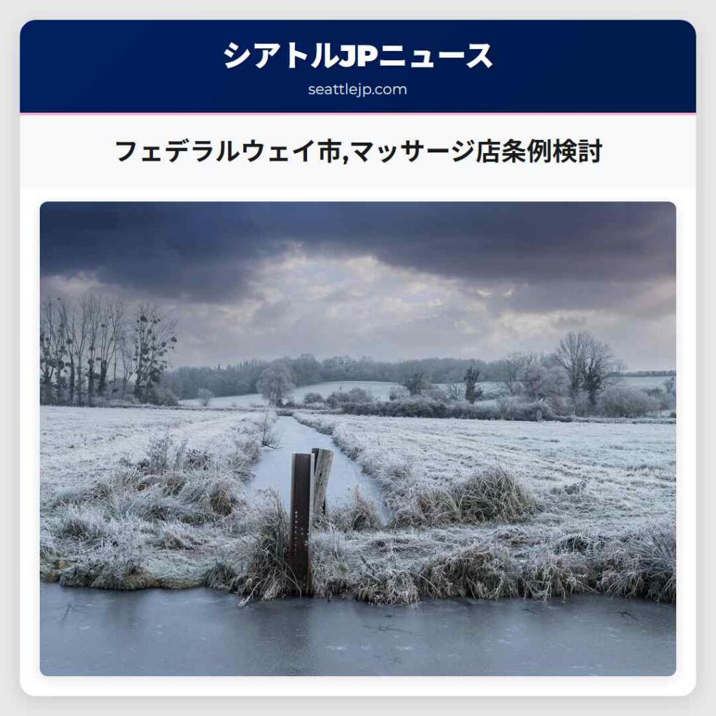 フェデラルウェイ市,マッサージ店条例検討