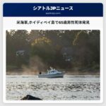 米海軍ホイディベイ島で65歳男性死体発見