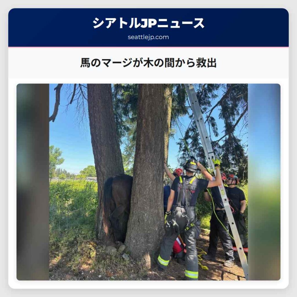 馬のマージが木の間から救出
