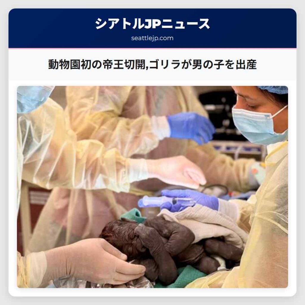 動物園初の帝王切開,ゴリラが男の子を出産