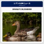 薬物検査不正確控訴審再開