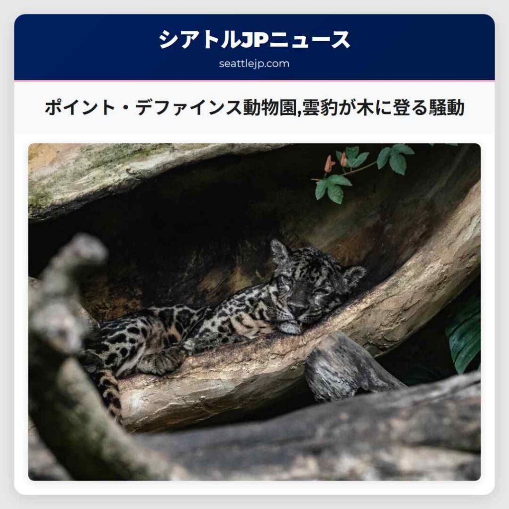 ポイント・デファインス動物園,雲豹が木に登る騒動