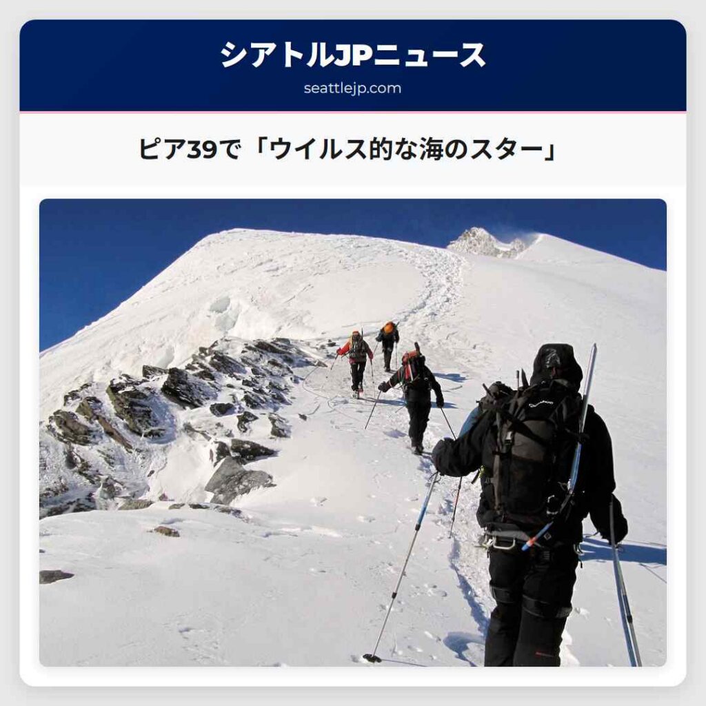 ピア39で「ウイルス的な海のスター」