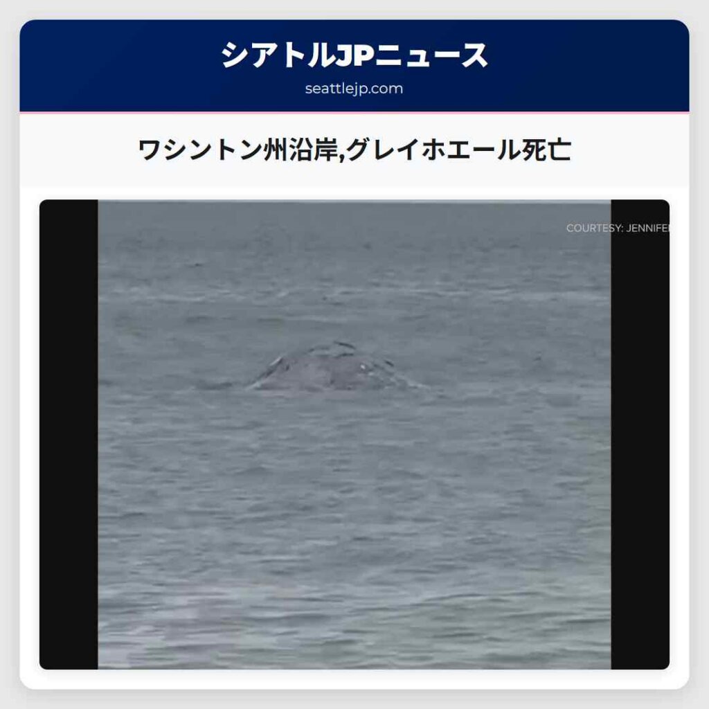 ワシントン州沿岸,グレイホエール死亡