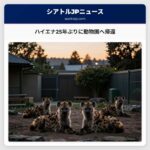 ハイエナ25年ぶりに動物園へ帰還