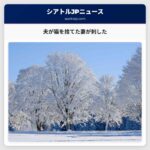 夫が猫を捨てた妻が刺した