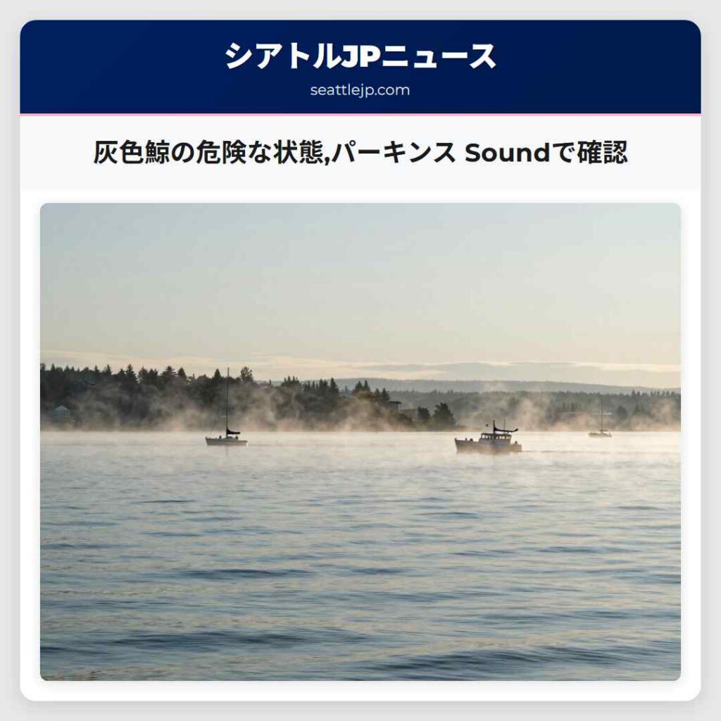 灰色鯨の危険な状態,パーキンス Soundで確認