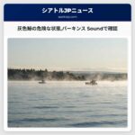 灰色鯨の危険な状態パーキンス Soundで確認