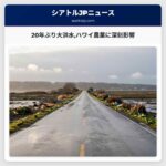 20年ぶり大洪水ハワイ農業に深刻影響