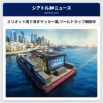エリオット湾で浮きサッカー場ワールドカップ期間中