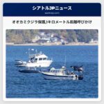 オオカミクジラ保護1キロメートル距離呼びかけ
