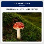 1号線再開MLKジュニアウェイ事故で運行停止