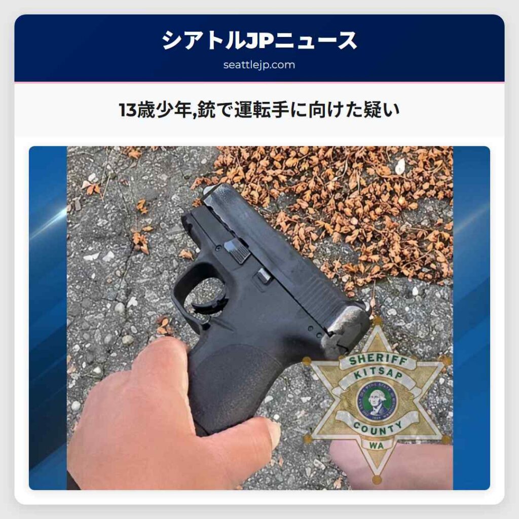13歳少年,銃で運転手に向けた疑い